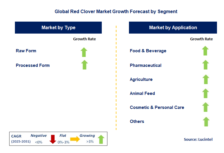 Red Clover Market by Segment